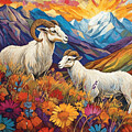 Majestic Mountain Rams